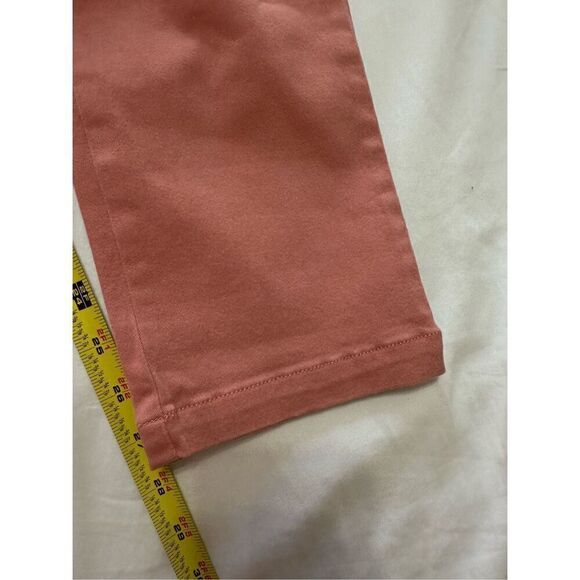NWT Flannel Chino Pink Pants Size 3 ( or L) - Picture 6 of 12